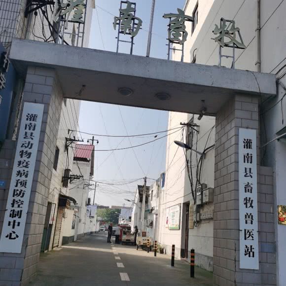 灌南县畜牧兽医站:连云港市灌南县