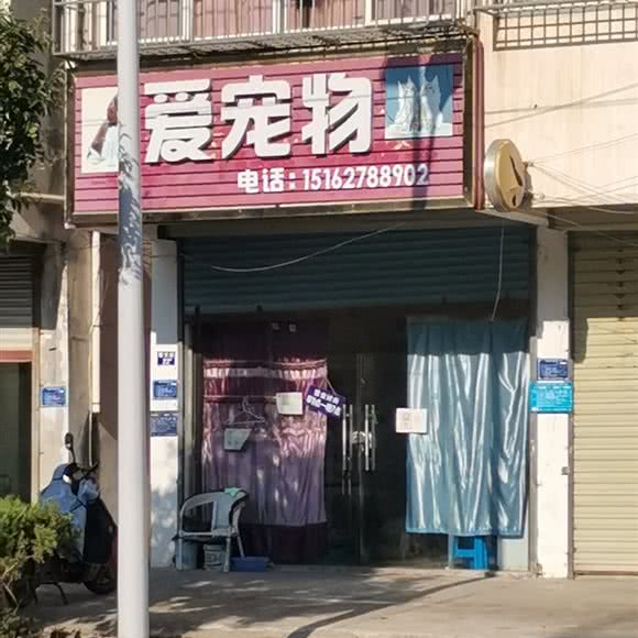 爱宠物:淮安市淮安区