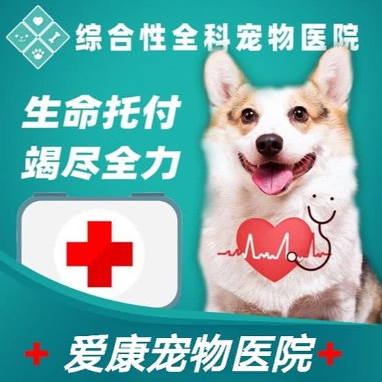 爱康宠物门诊:淮安市淮安区