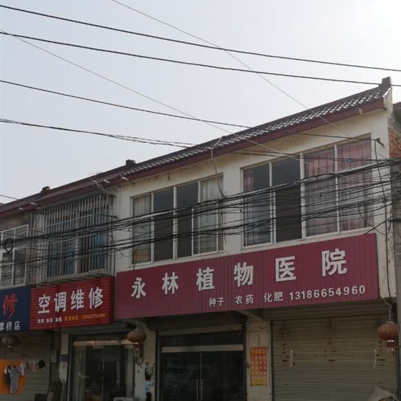 永林真菌医院:淮安市淮安区