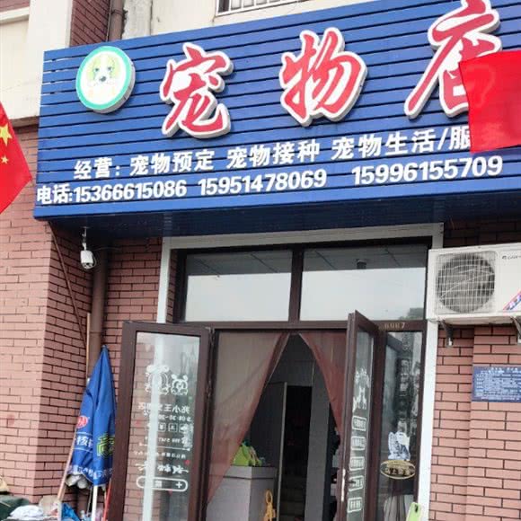 宠物店:淮安市清江浦区