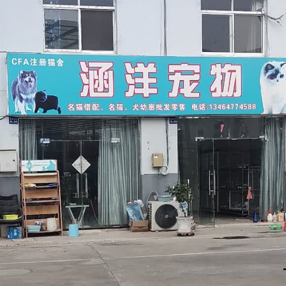 涵洋宠物:淮安市清江浦区