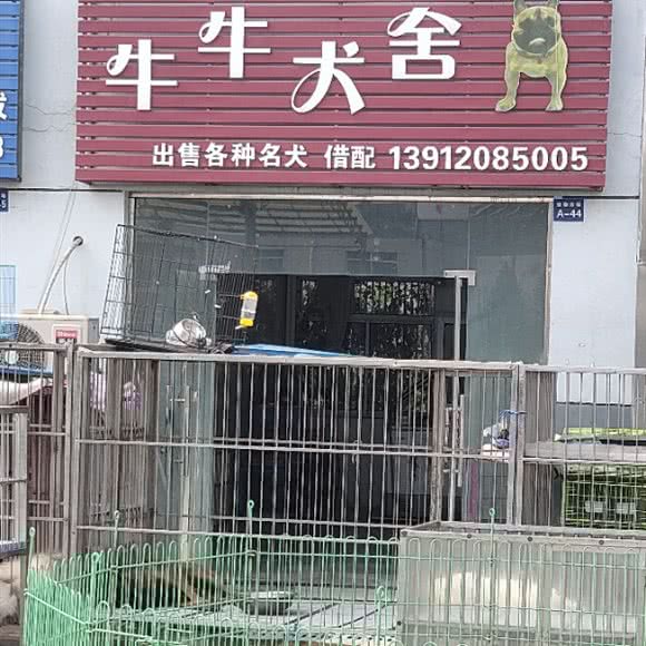 牛牛犬舍:淮安市清江浦区