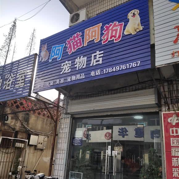 阿猫阿狗宠物店:淮安市洪泽区