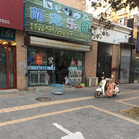 萌宠乐园:淮安市洪泽区
