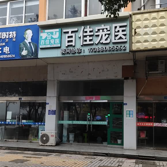 百佳宠医:淮安市洪泽区