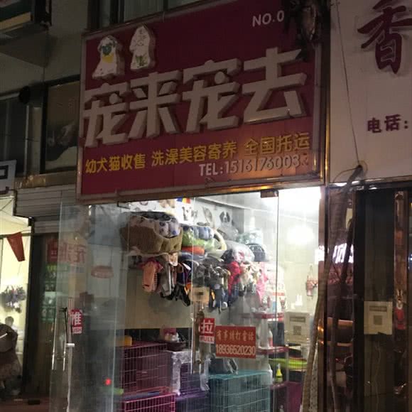 宠来宠去:淮安市涟水县