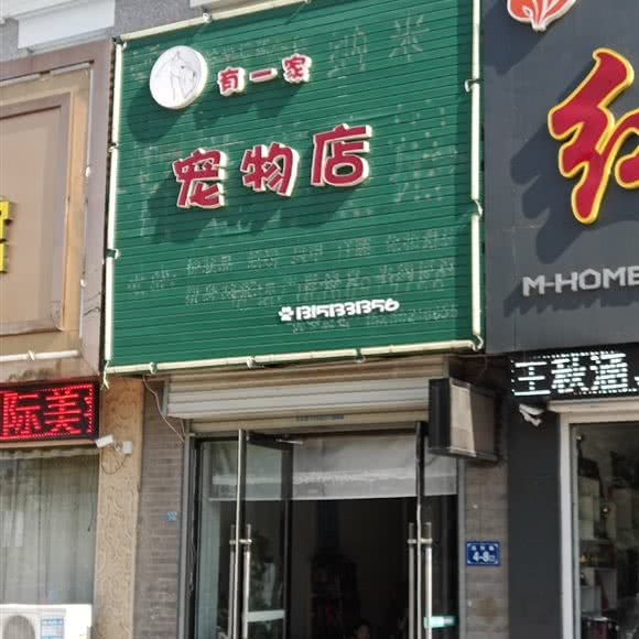 有一家宠物店:淮安市涟水县