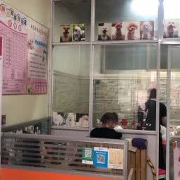 阿猫阿狗宠物店:淮安市涟水县