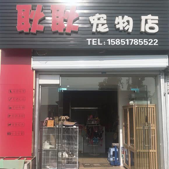 耿耿宠物店:淮安市涟水县