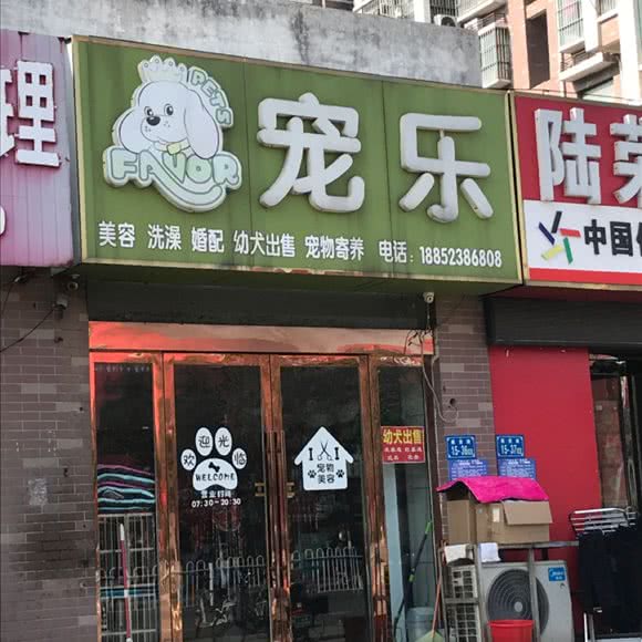 宠乐:淮安市涟水县