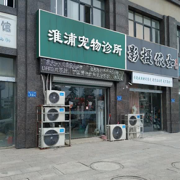 淮浦宠物诊所:淮安市涟水县