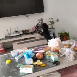 91宠物诊所:淮安市涟水县