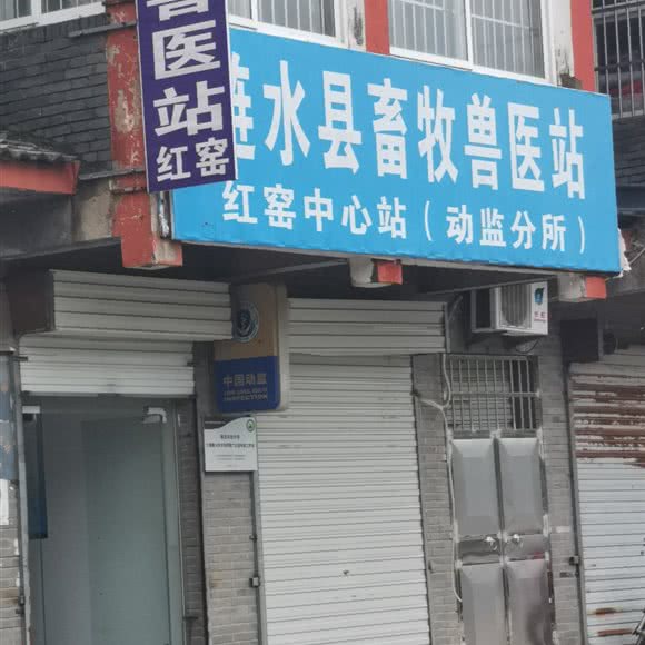 红窑兽医站:淮安市涟水县