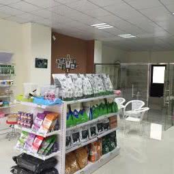 派多格宠物:淮安市盱眙县