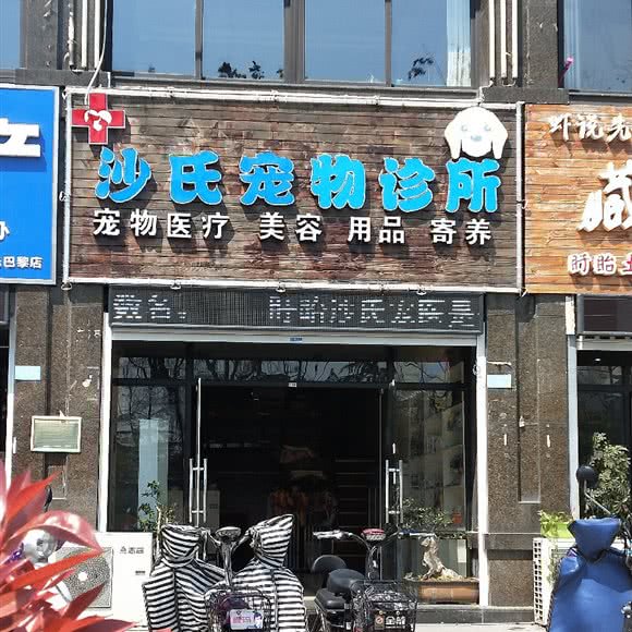 沙氏宠物诊所:淮安市盱眙县