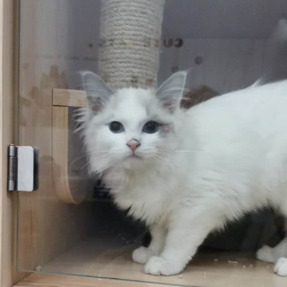 佐缘私宠:盐城市亭湖区