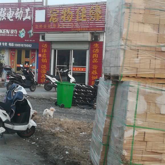 宠物佳缘:盐城市亭湖区