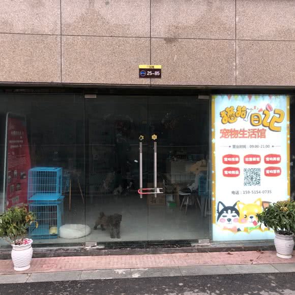 猫狗日记:盐城市亭湖区