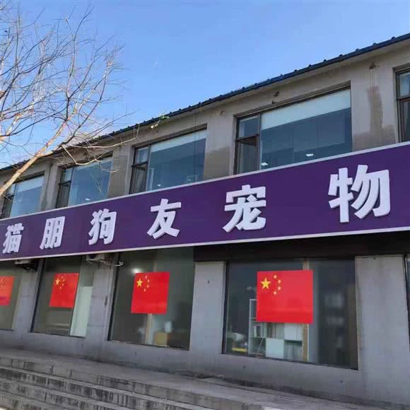 猫朋狗友宠物医院:阳泉市城区三角线商业区附近