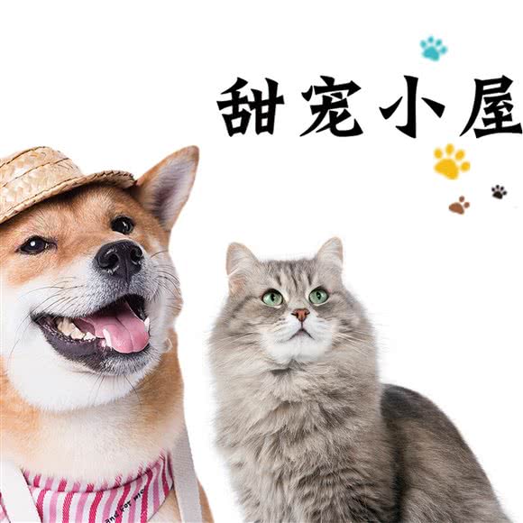甜宠小屋:盐城市盐都区