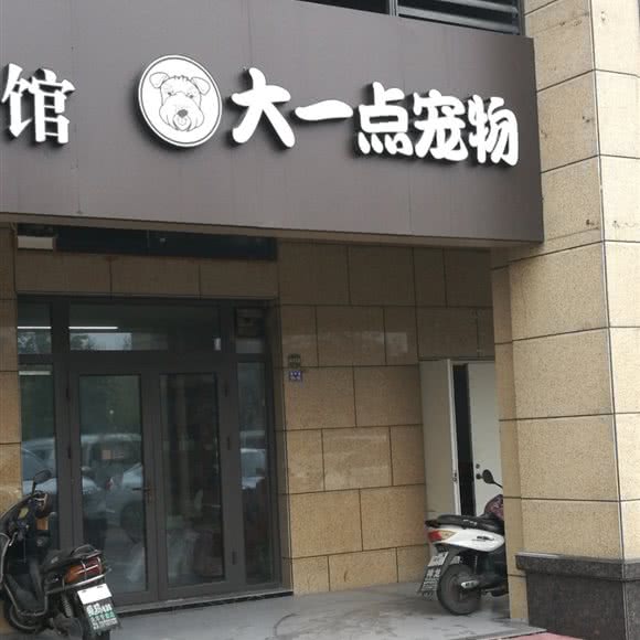 大一点宠物:盐城市盐都区
