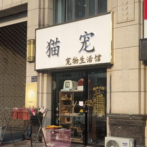猫宠宠物生活馆:盐城市大丰区