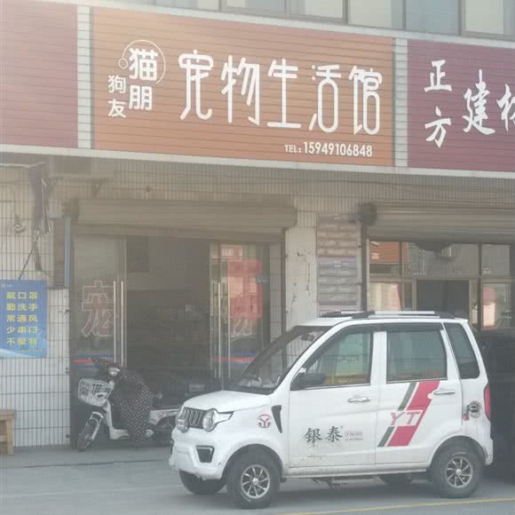 猫朋狗友宠物生活馆:盐城市大丰区
