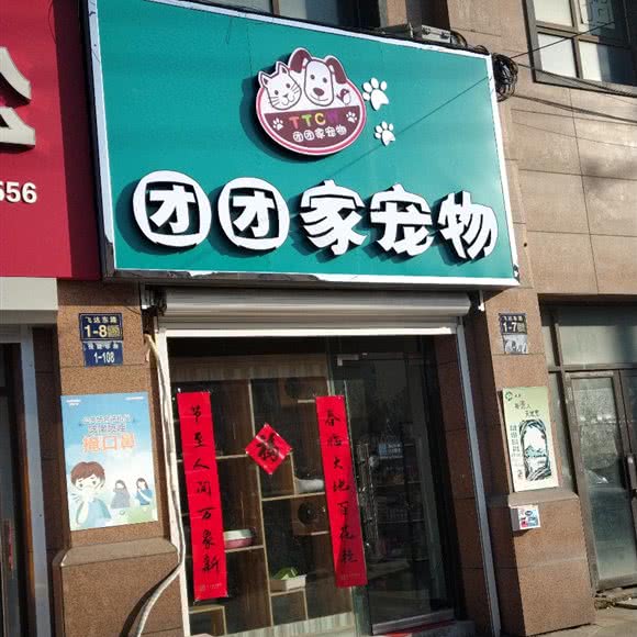 团团家宠物:盐城市大丰区