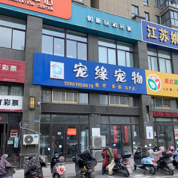 宠缘宠物:盐城市大丰区