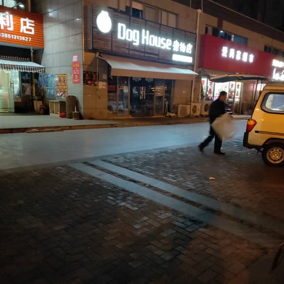 DogHouse宠物店:盐城市大丰区