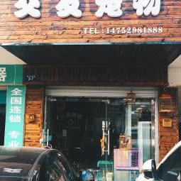 交友宠物:盐城市大丰区