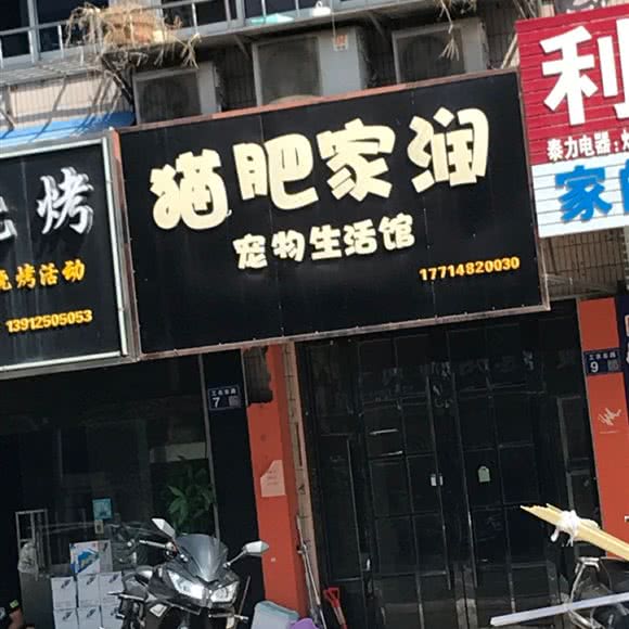 猫肥家润:盐城市大丰区