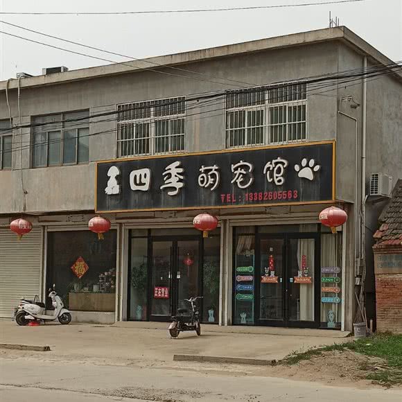 四季萌宠馆:盐城市响水县