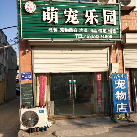 大鼻子萌宠乐园:盐城市滨海县