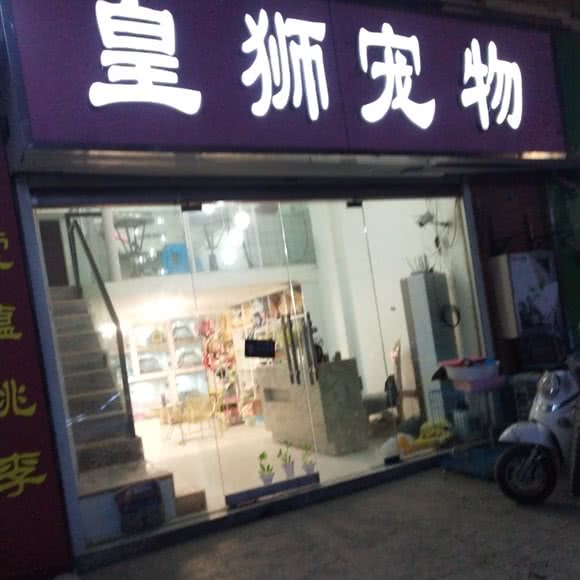 皇狮宠物:盐城市滨海县