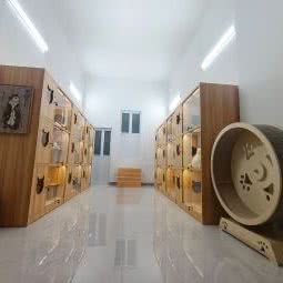 咕·猫宁名猫馆:盐城市滨海县