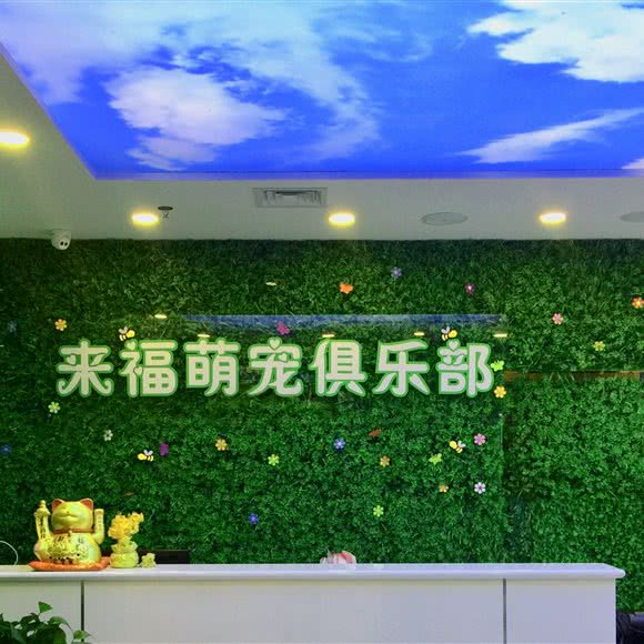 来福萌宠俱乐部:北京城区东城区和平里/国展中心附近