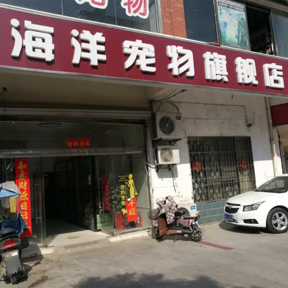 海洋宠物旗舰店:盐城市滨海县