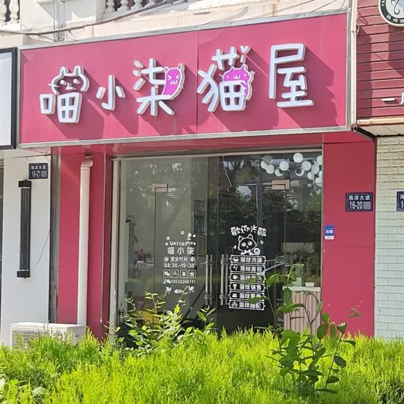 喵小柒猫屋:盐城市滨海县