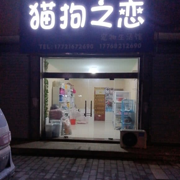 猫狗之恋:盐城市阜宁县