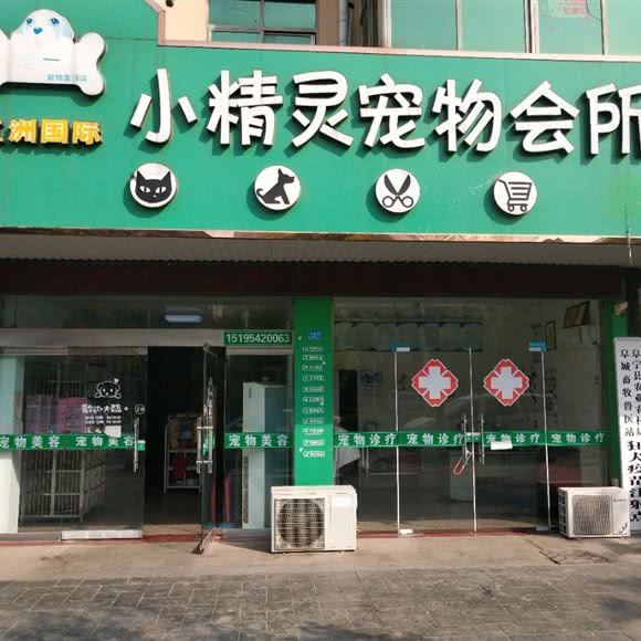 五洲国际小精灵宠物会所:盐城市阜宁县