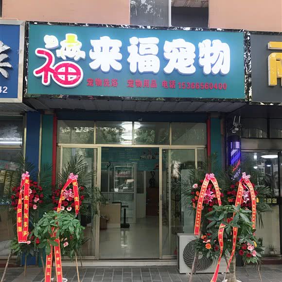 来福宠物:盐城市阜宁县