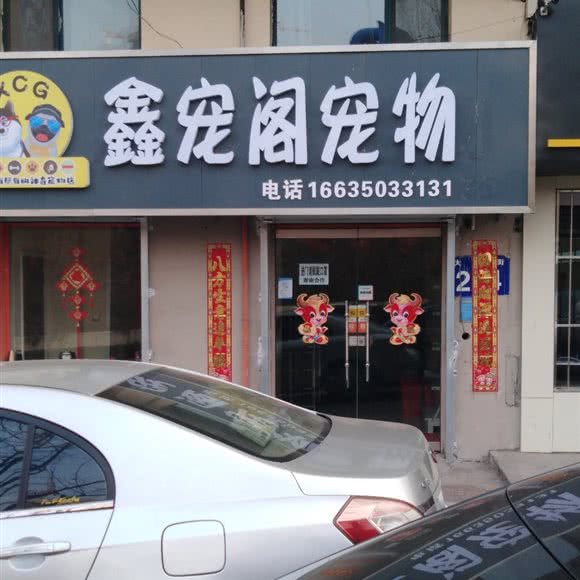 鑫宠阁宠物:阳泉市郊区开发区附近