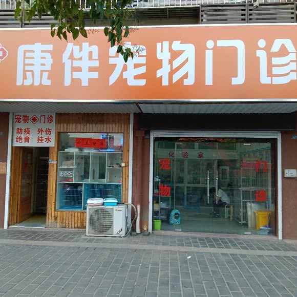 康伴宠物门诊:盐城市阜宁县
