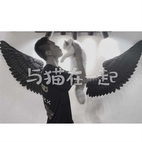 与猫在一起(no.1):阳泉市郊区开发区附近