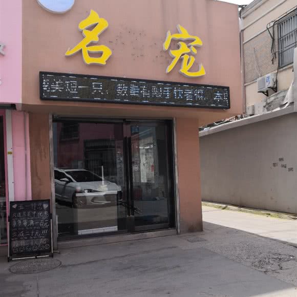 名宠:盐城市射阳县