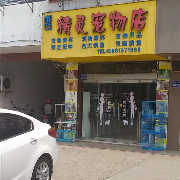 精灵宠物店:盐城市建湖县