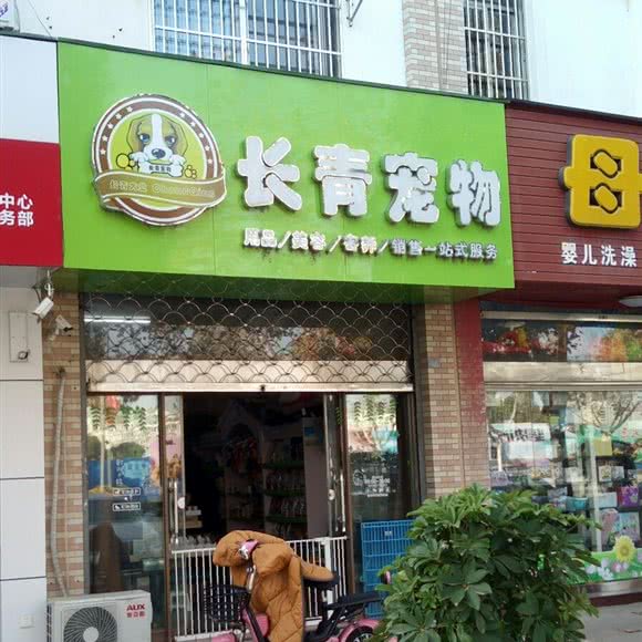 长青宠物:盐城市建湖县