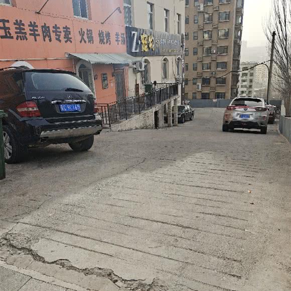 Z·宠物(二部):阳泉市郊区开发区附近